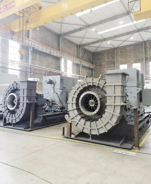 國內(nèi)首座百噸級管道增壓壓縮機順利投產(chǎn)